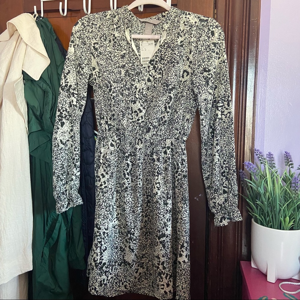 H&M Animal Print Dress